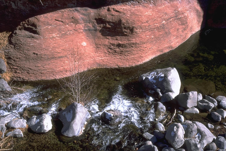 Oak Creek