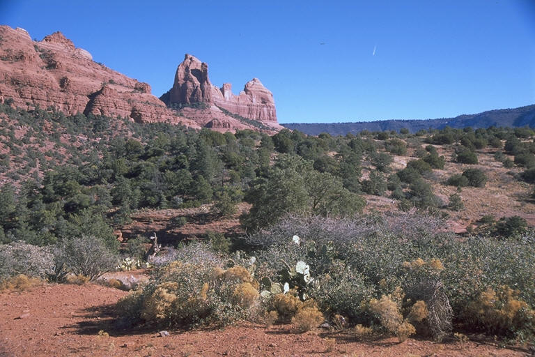 Sedona (108)