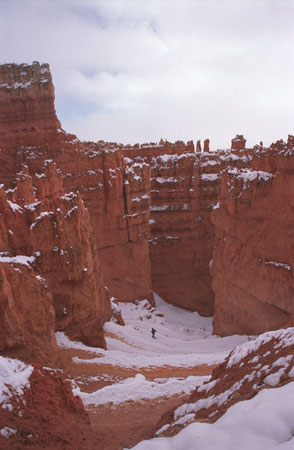 Bryce_2002_R12_03