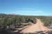 Bryce_2002_R3_13