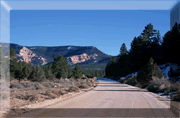 The road to Powell Point