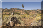 Hiking along Piru Creek