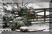 Home for the Holidays, 2002