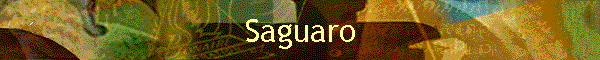 Saguaro