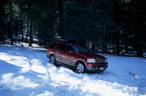Playing in the snow