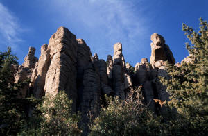 Organ Pipes