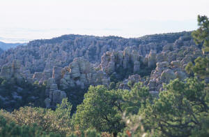 A crowd of rock people