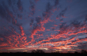 Arizona Sunset