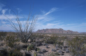 The Chisos Mtns