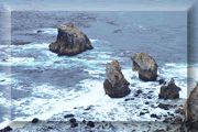 San Francisco Trip