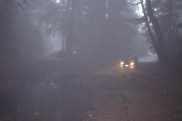 Misty Stop