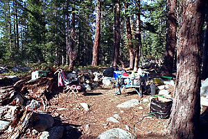 The Campsite