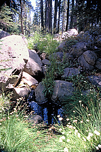 Pond Outflow