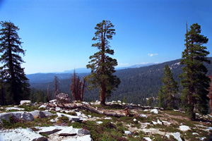 Sierra Pond Vista