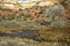 Calf Creek Beaver Pond, 98.jpg (205122 bytes)