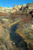 Calf Creek.jpg (276884 bytes)
