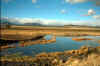Cold Pond Near Bryce (81).jpg