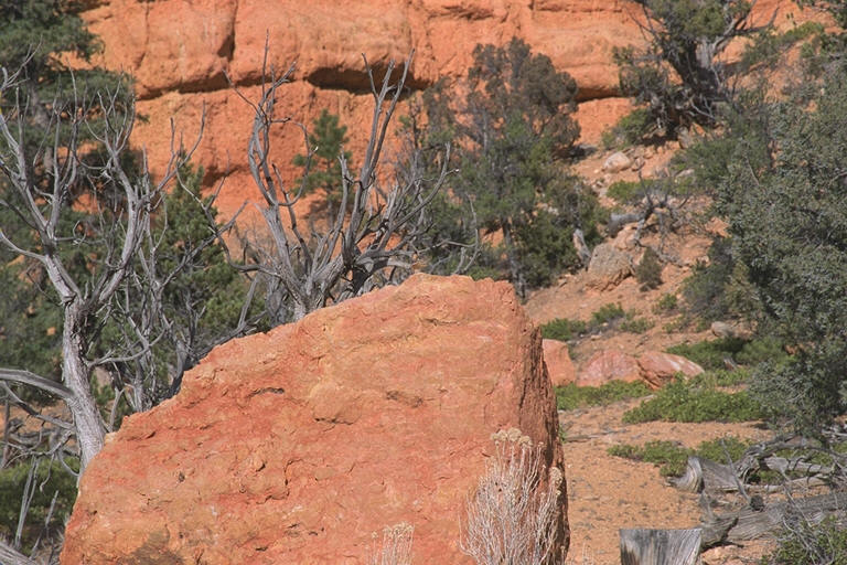 Coso Canyon Side Canyon