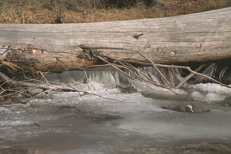 Cold Water