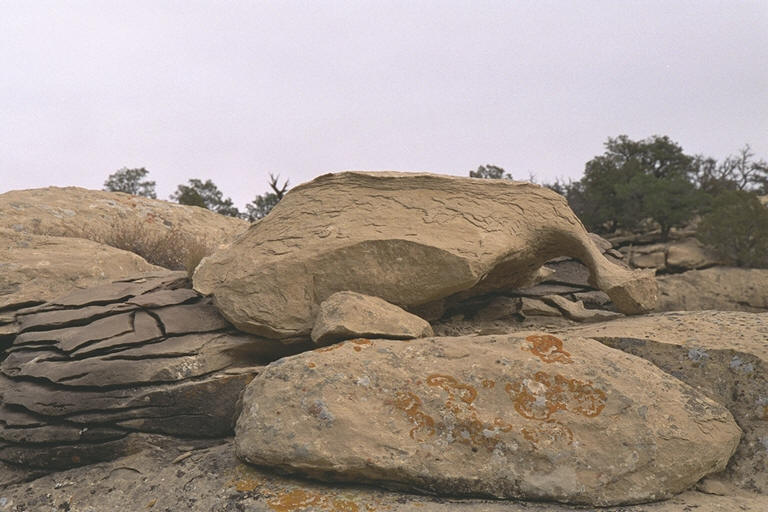 Interesting Rocks