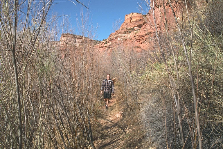 On the Trail