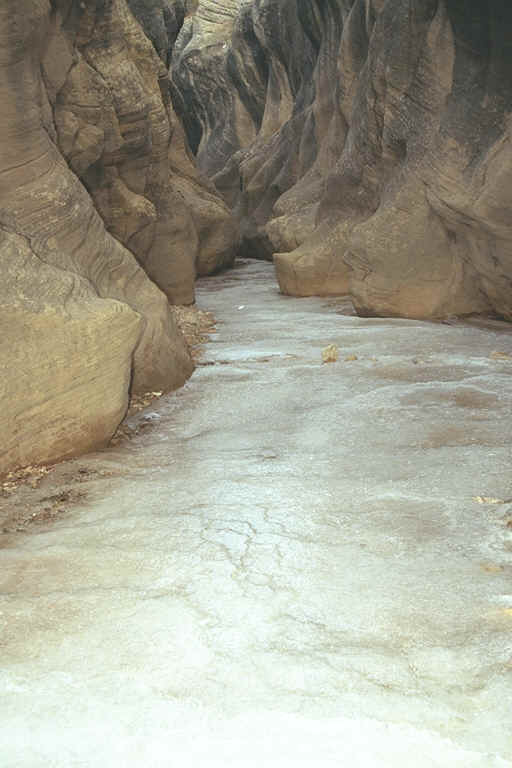 Lots of Ice