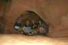 Thru the Arch in the Slots.jpg (198722 bytes)