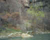 Virgin River '98.jpg (234565 bytes)
