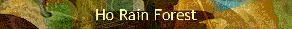 Ho Rain Forest