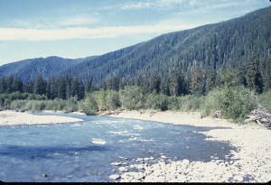 The Ho River