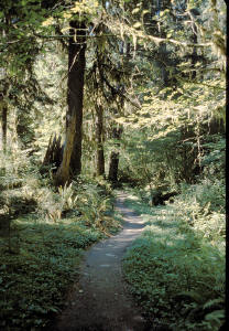 The Ho Trail