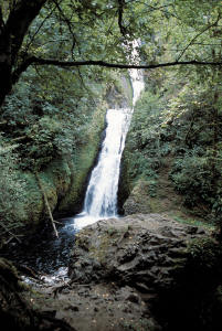Bridal Veil Falls